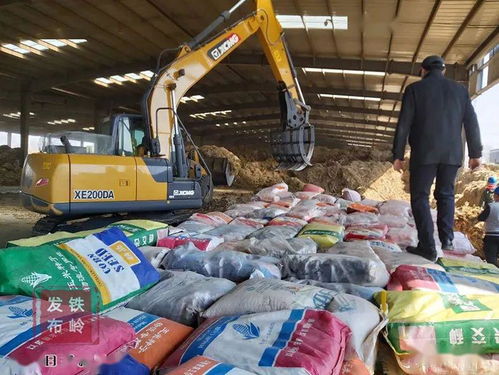 我市集中銷毀8萬斤假劣種子，強化農作物種子市場監管