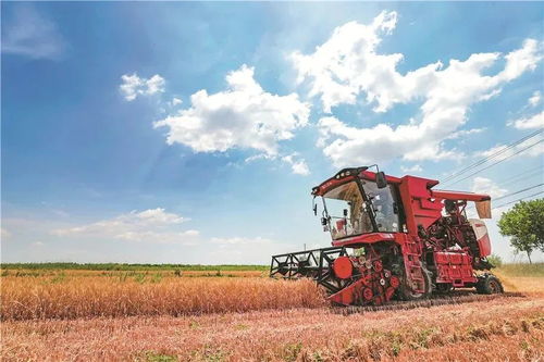 糧農組織推動種子與作物多樣性發展，保障全球糧食安全