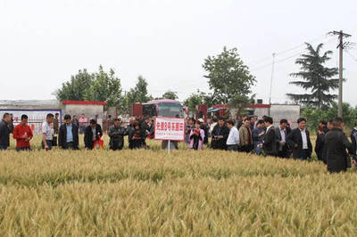 鄧州市七家企業(yè)榮膺“農(nóng)業(yè)產(chǎn)業(yè)化省重點(diǎn)龍頭企業(yè)” 農(nóng)作物種子經(jīng)營(yíng)引領(lǐng)產(chǎn)業(yè)升級(jí)