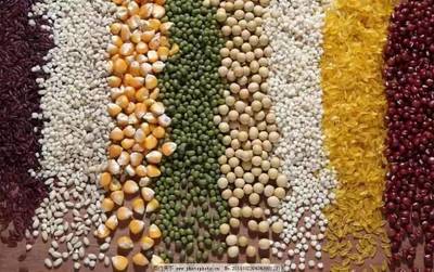 三大糧食作物制種納入中央財(cái)政補(bǔ)貼目錄 為種業(yè)發(fā)展注入“保險(xiǎn)”動(dòng)能